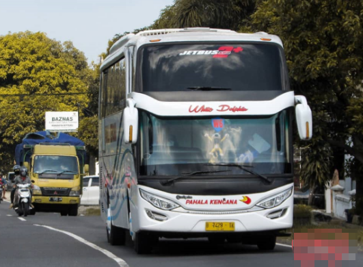 Harga Tiket Bus Jakarta Semarang Terbaru untuk Perjalanan Lebih Hemat