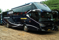 Harga Tiket, Rute Serta Nomor Telpon Agen Bus Resmi Putera Mulya