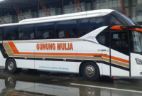 Informasi Harga Tiket Bus Gunung Mulia Terbaru